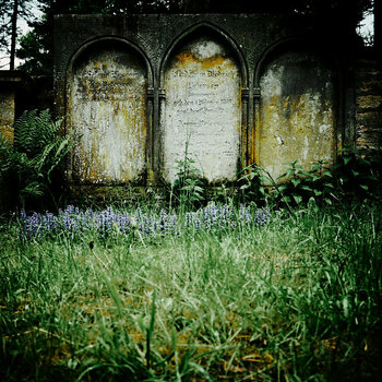 Hasefriedhof-050524 75.jpg