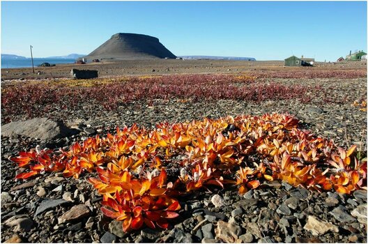Mount Thule Herbst.jpg