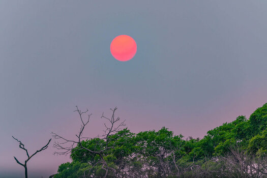 2024-09-12 013 Sun.jpg