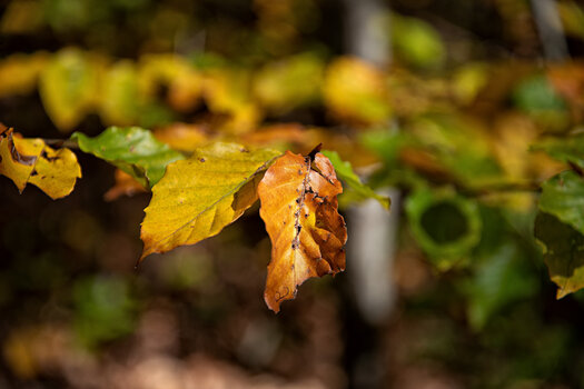 750_1248.jpg