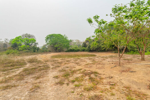 2024-09-12 006 Water Hole.jpg