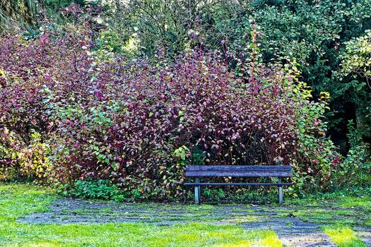 DSC_0286.jpg