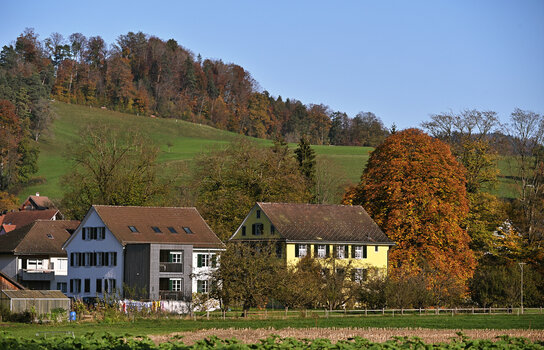 DSC_5265.f.jpg