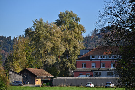 DSC_5305.f.jpg
