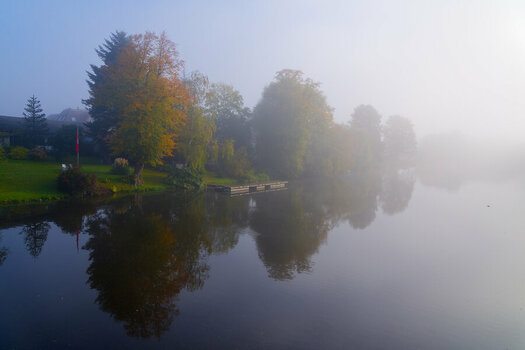 DSC_0910.jpg