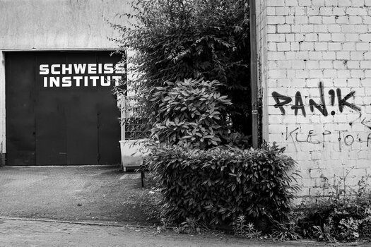 DSC_0440Hexe.jpeg DSC_0440Hexe.jpeg