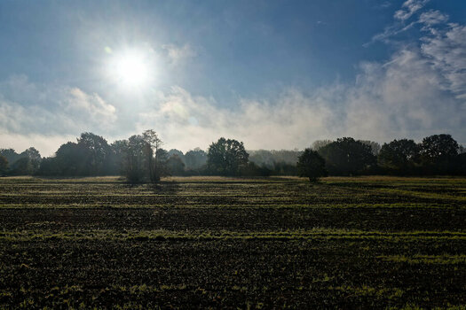 DSC_1230.jpg