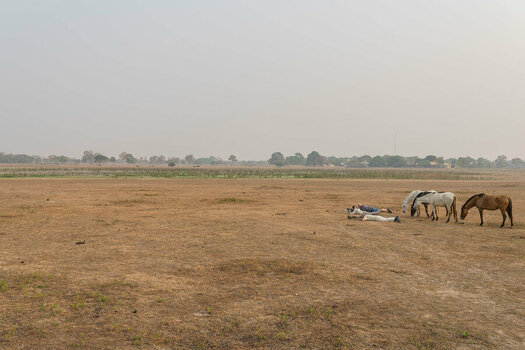 2024-09-18 08 Photographing Burrowing Owls.jpg