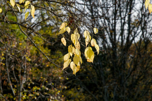 DSC_0286 - KopieDxO.jpg