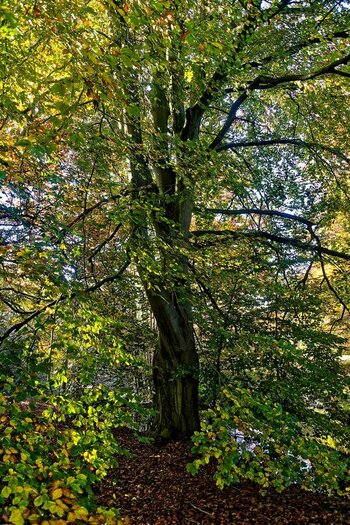 DSC_1611.jpg