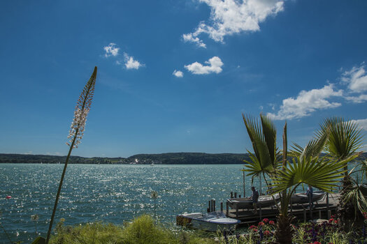 D75_0844 900.jpg