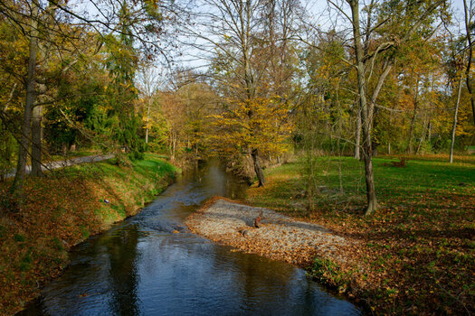 DSC_0287DxO.jpg