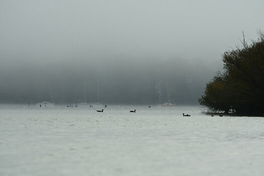 DSC_8564_01.JPG