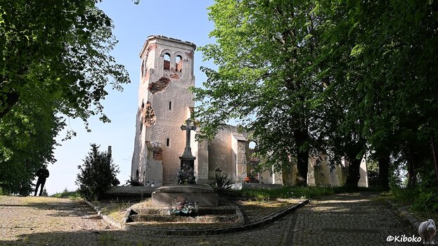 s230521_1726_NowaCerekwia_Ruine_7868.jpg
