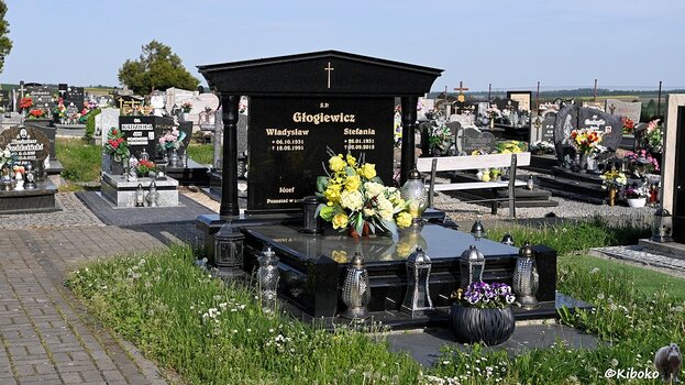 s230521_1731_NowaCerekwia_Friedhof_7878.jpg