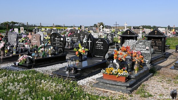 s230521_1731_NowaCerekwia_Friedhof_7879.jpg
