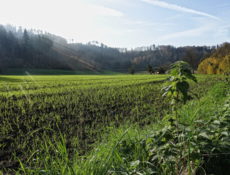 DSC05347.2.f.jpg