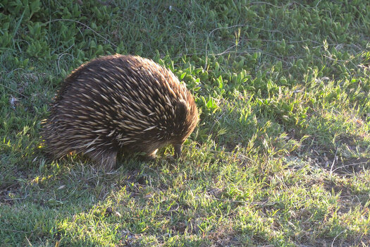 Australien2024-007.JPG