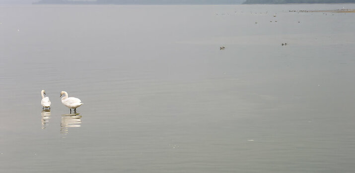 Chiemsee.jpg