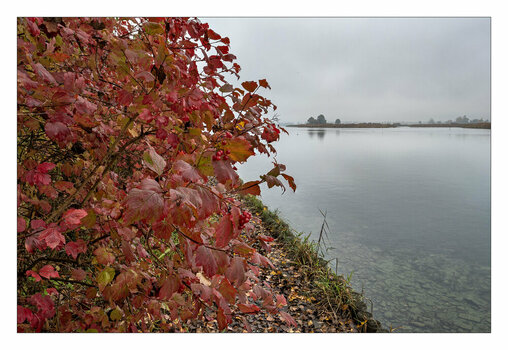 20241029 115255 DC-G9M2 13 mm 1-60 Sek. bei f - 8.0 ISO 125 nf.jpg