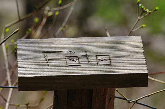 DSC_2785.f.jpg