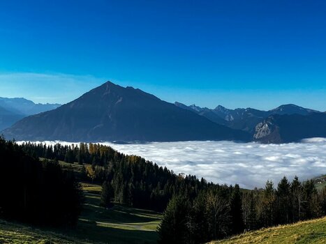 IMG_0027-2.jpg