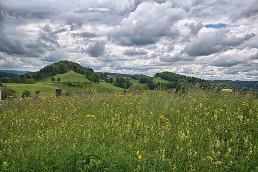 DSC_4955.f.jpg