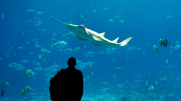 ATL_Aquarium (07)_2024_DxO.jpg