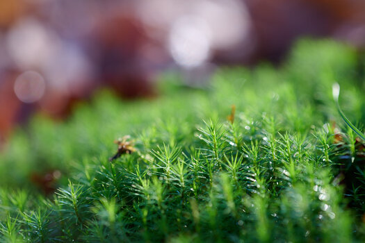 1731832630177.jpeg 1731832630177.jpeg