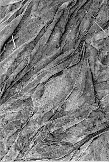 comp_Ackertuch 12.jpg comp_Ackertuch 12.jpg