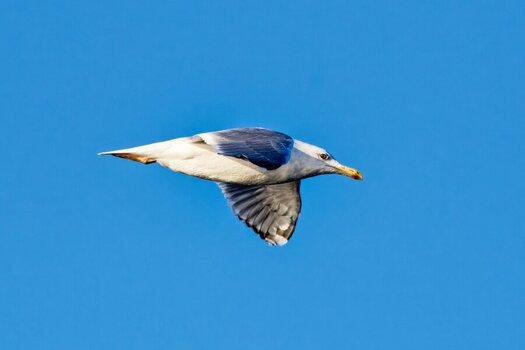 DSC_0618_DxO.jpg