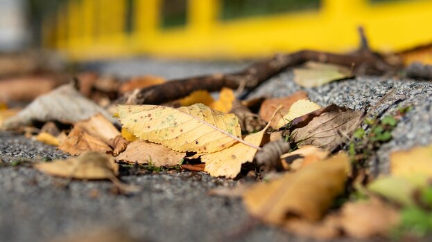 k_030_SIGMA_30mm_F1.4_DC_DN_Contemporary_RF-Mount_Referenz.jpg