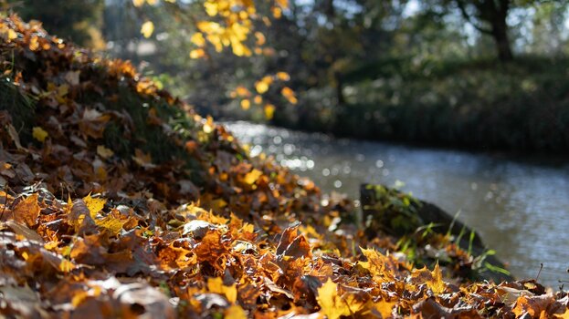 k_031_SIGMA_30mm_F1.4_DC_DN_Contemporary_RF-Mount_Referenz.jpg