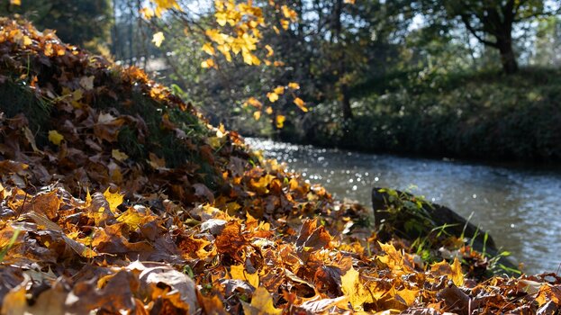 k_032_SIGMA_30mm_F1.4_DC_DN_Contemporary_RF-Mount_Referenz.jpg