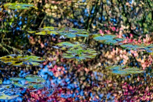 DSC_1634_DxO.jpg