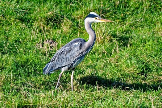 DSC_0388_DxO.jpg