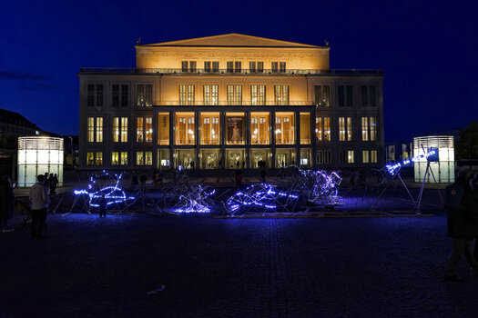 20241011-750_1144-NEF_DxO.jpg