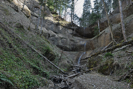 DSC_2502.f.jpg