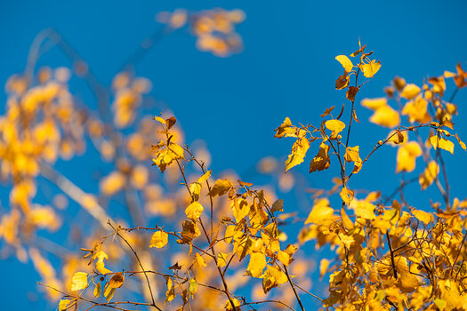 ND6_2145.jpg