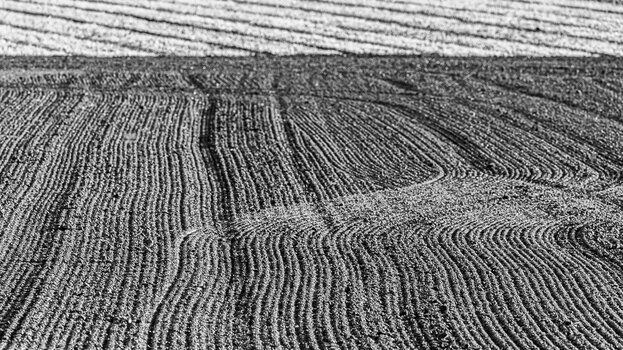 ND6_2140.jpg