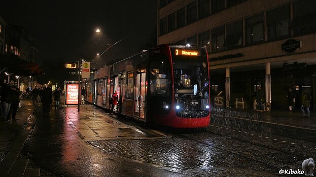 s241126_1740_Bremen_3220_9240.jpg