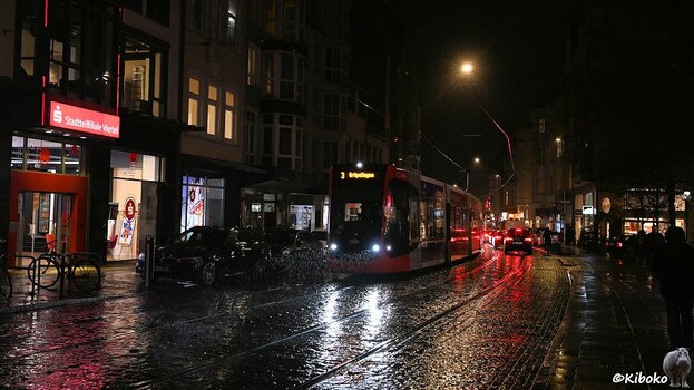 s241126_1742_Bremen_3203_9245.jpg