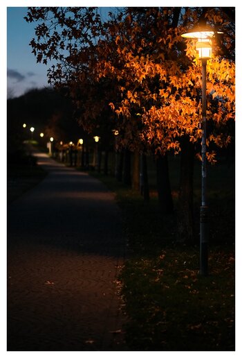 xAbendspaziergang Seepark (1 von 1)-2.jpg