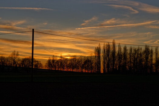 750_1656_DxO.jpg