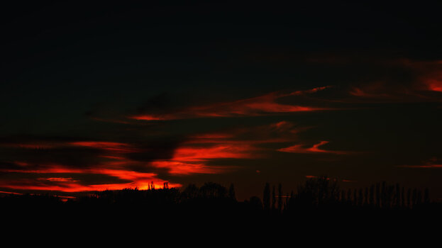 750_1666.jpg