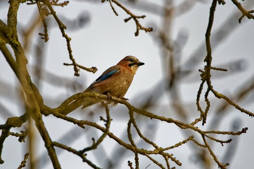 DSC_0158_DxO.jpg