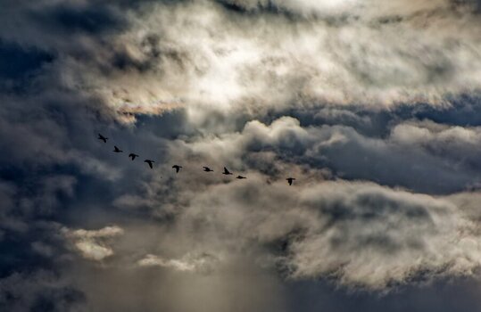 DSC_1820_DxO.jpg