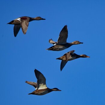 DSC_0627_DxO.jpg