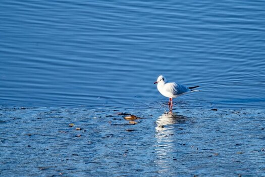 DSC_0188_DxO.jpg