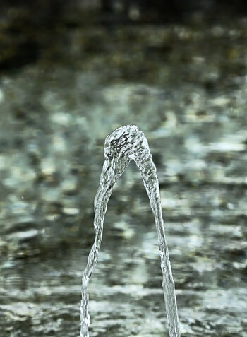DSC_8983.f.jpg